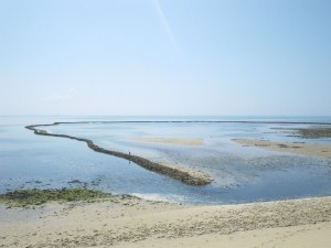 IMGP1506 Fish trap, Île de Ré
