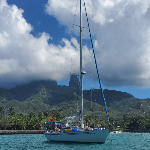 Looking for crew for Tahiti to Brisbane April and May of 2024